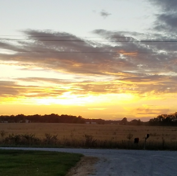 Meet your Posher, Laurie - Picture 3 of 3